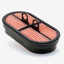 P600975DFS-1